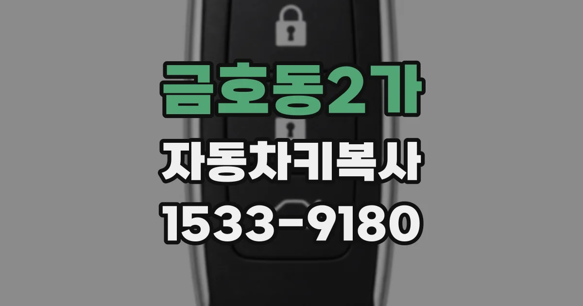금호동2가 자동차키복사