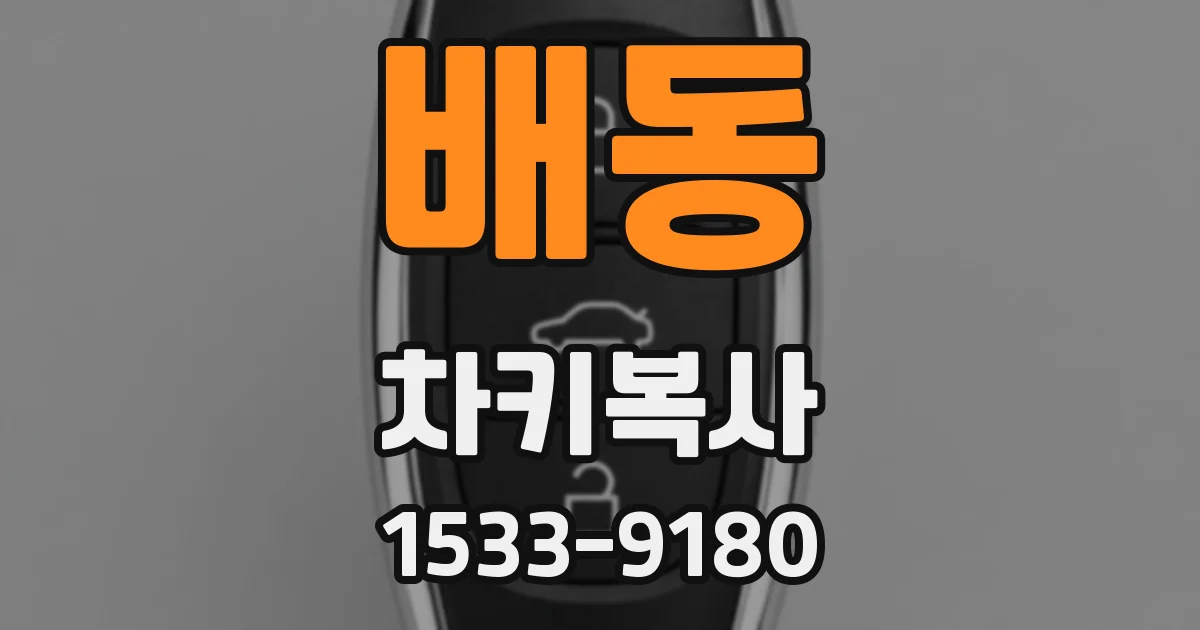배동 차키복사