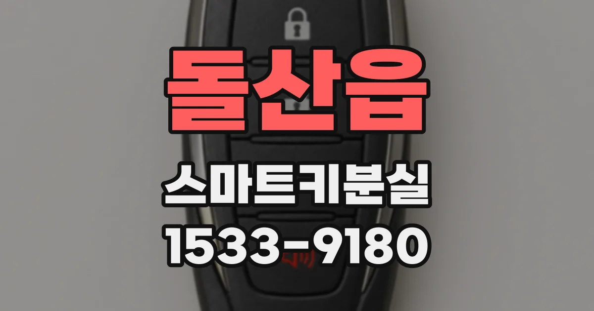 돌산읍 스마트키분실