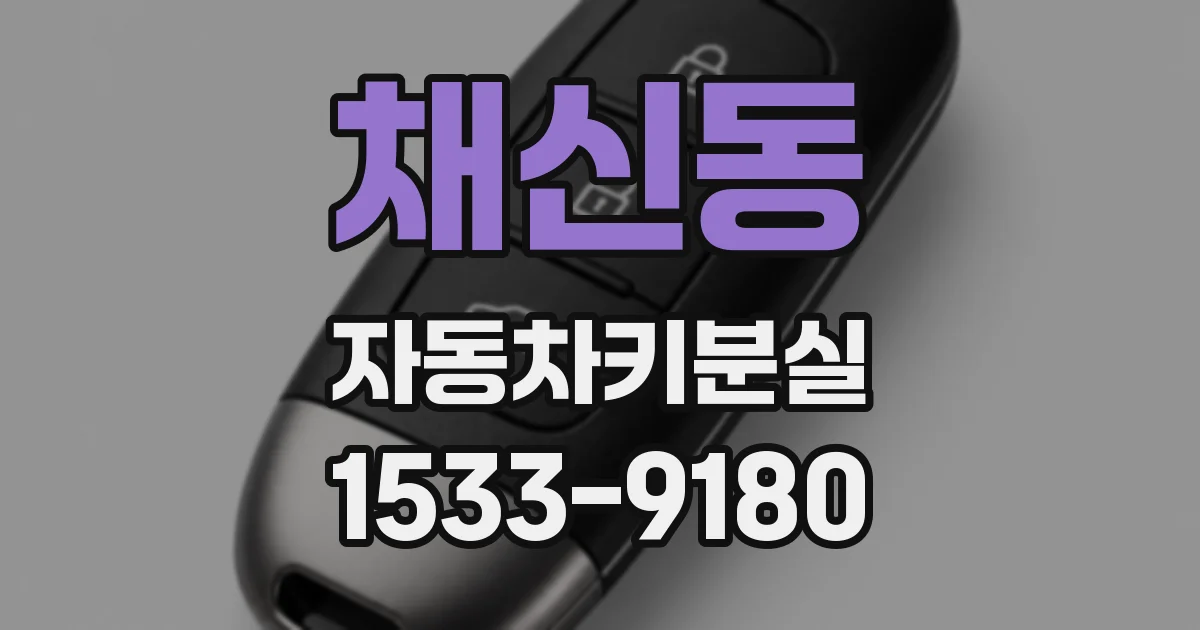 채신동 자동차키분실