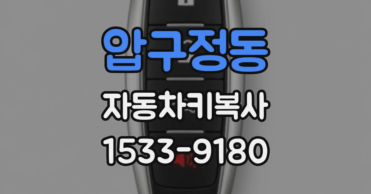 압구정동 자동차키복사