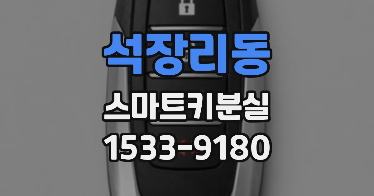석장리동 스마트키분실