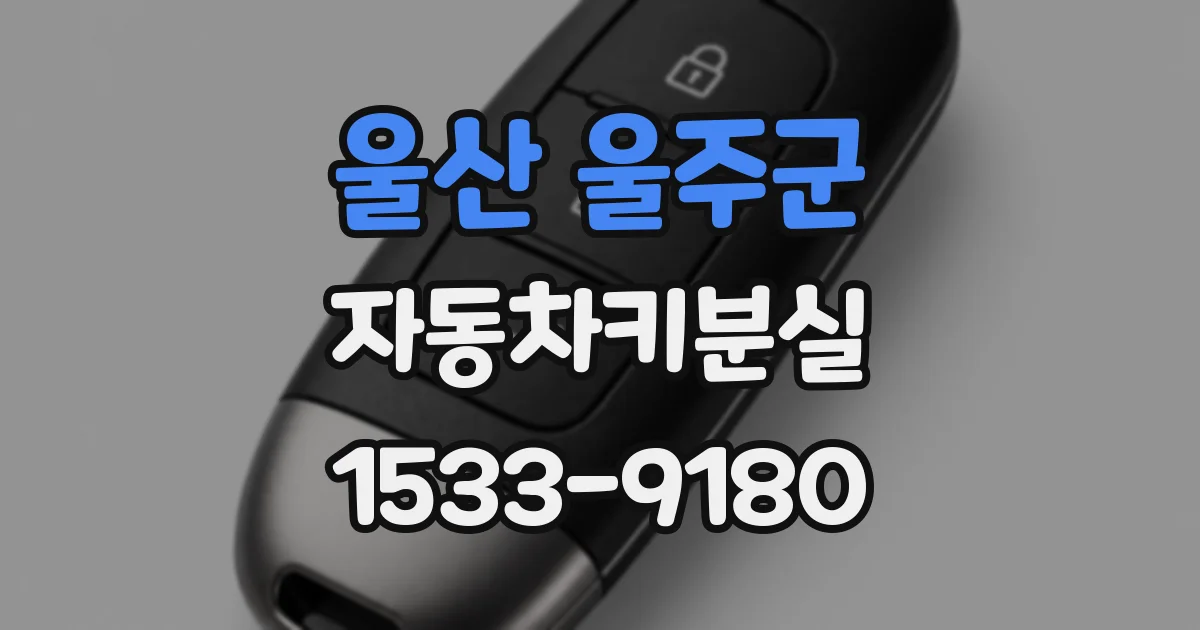 울산 울주군 자동차키분실