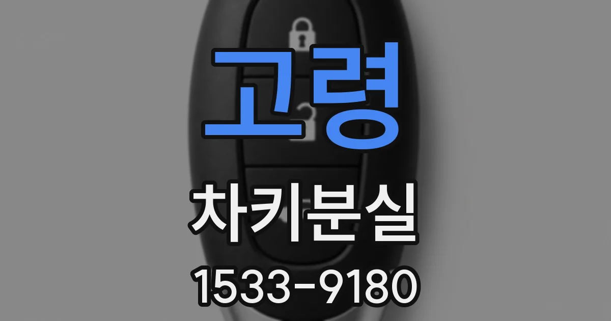 고령 차키분실