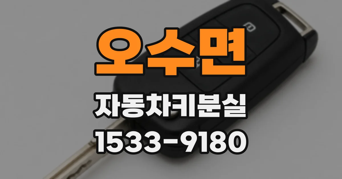 오수면 자동차키분실