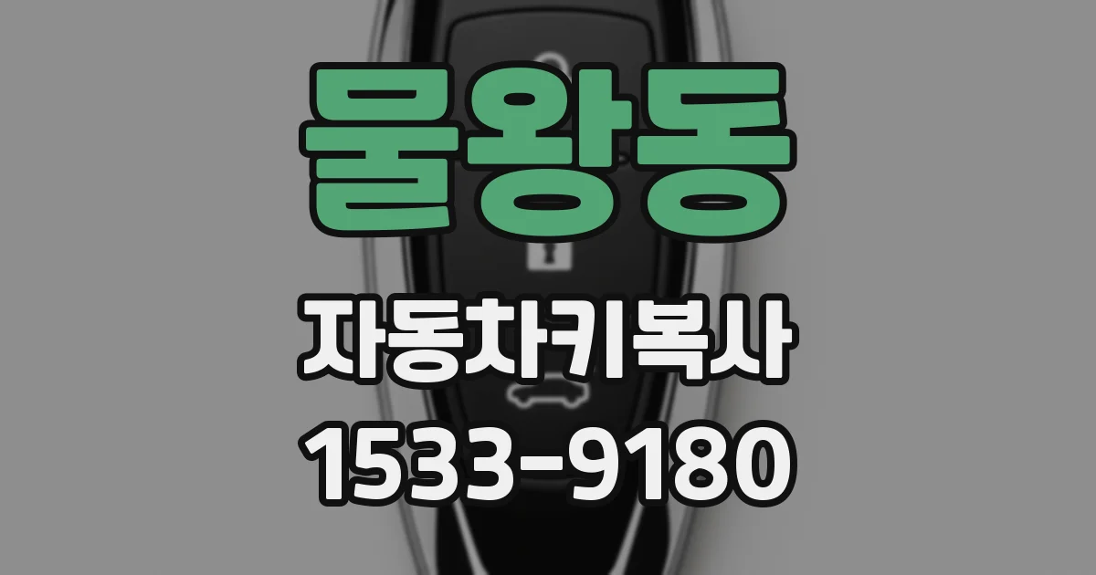 물왕동 자동차키복사