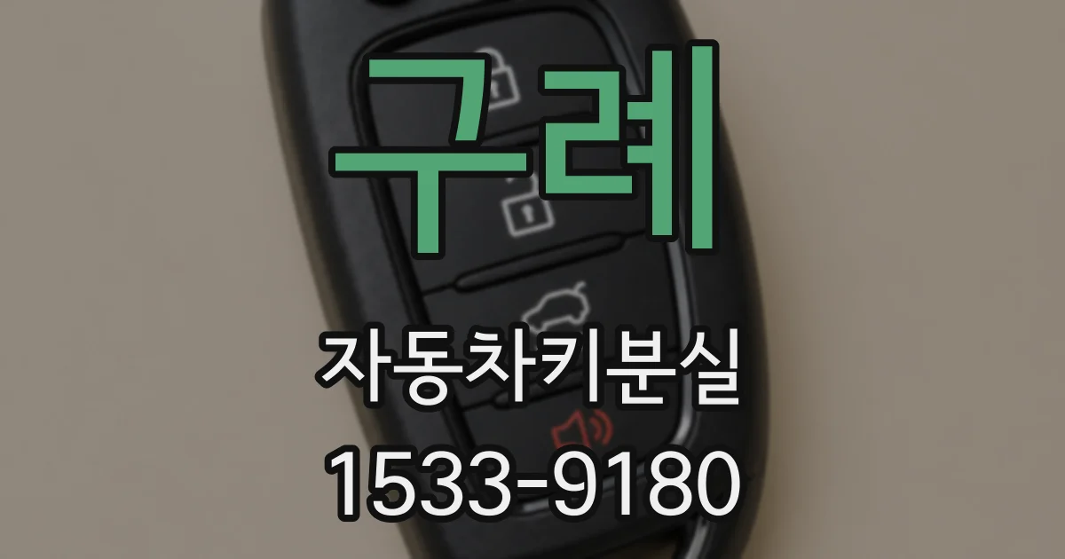 구례 자동차키분실