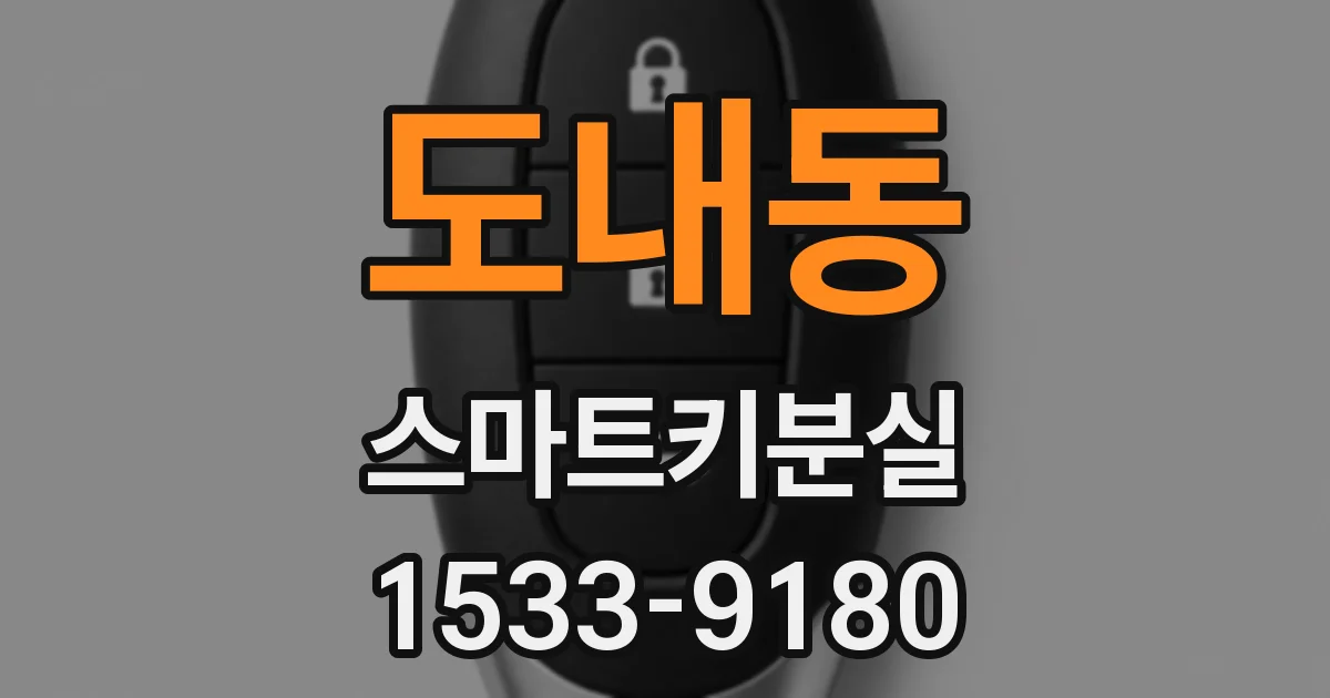 도내동 스마트키분실