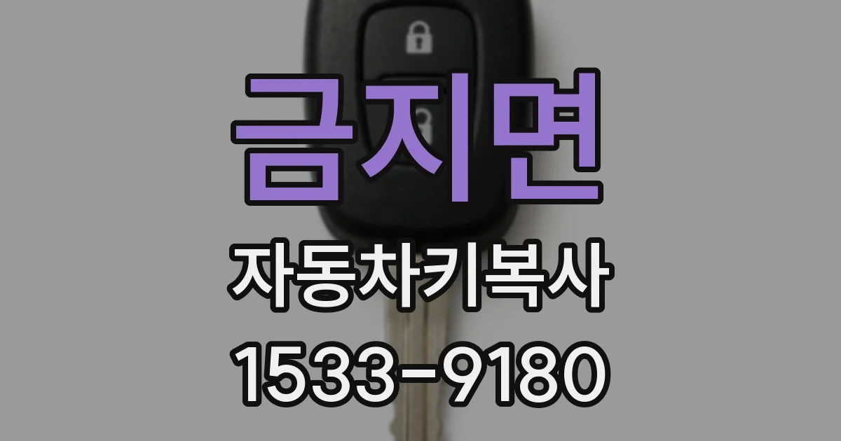 금지면 자동차키복사