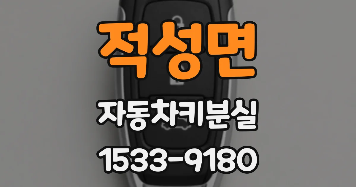 적성면 자동차키분실