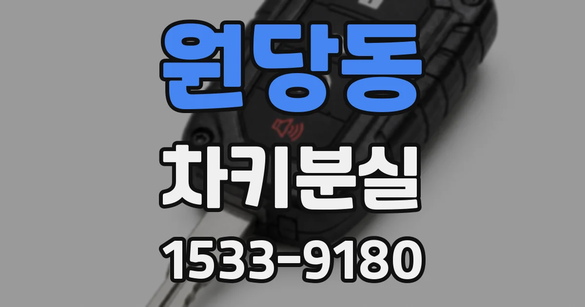 원당동 차키분실