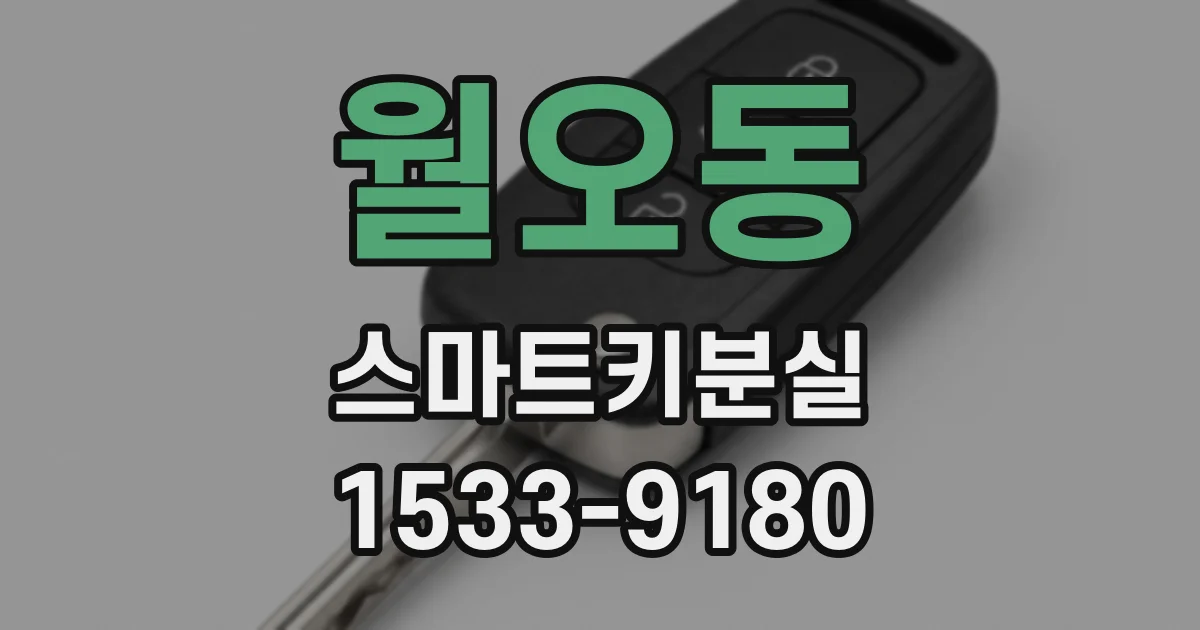 월오동 스마트키분실