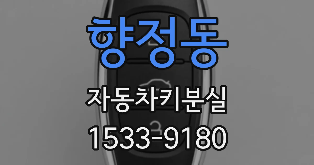 향정동 자동차키분실