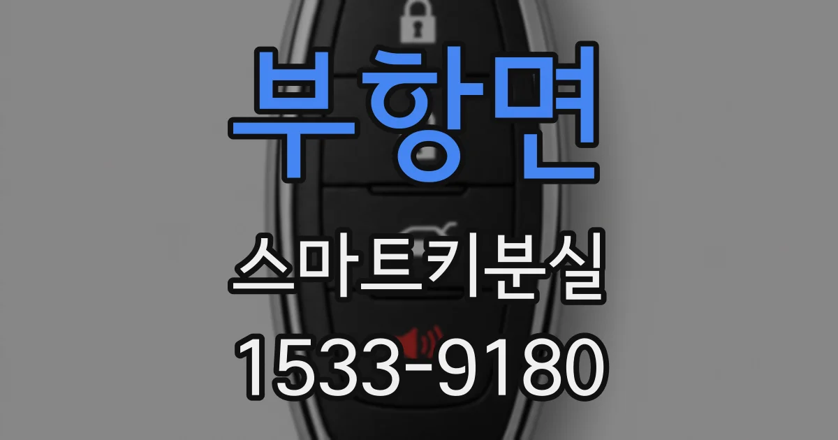 부항면 스마트키분실