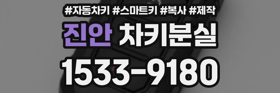 진안 차키분실