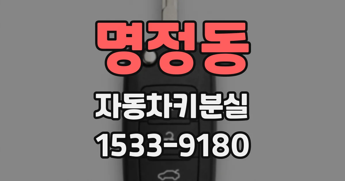 명정동 자동차키분실
