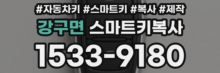 강구면 스마트키복사