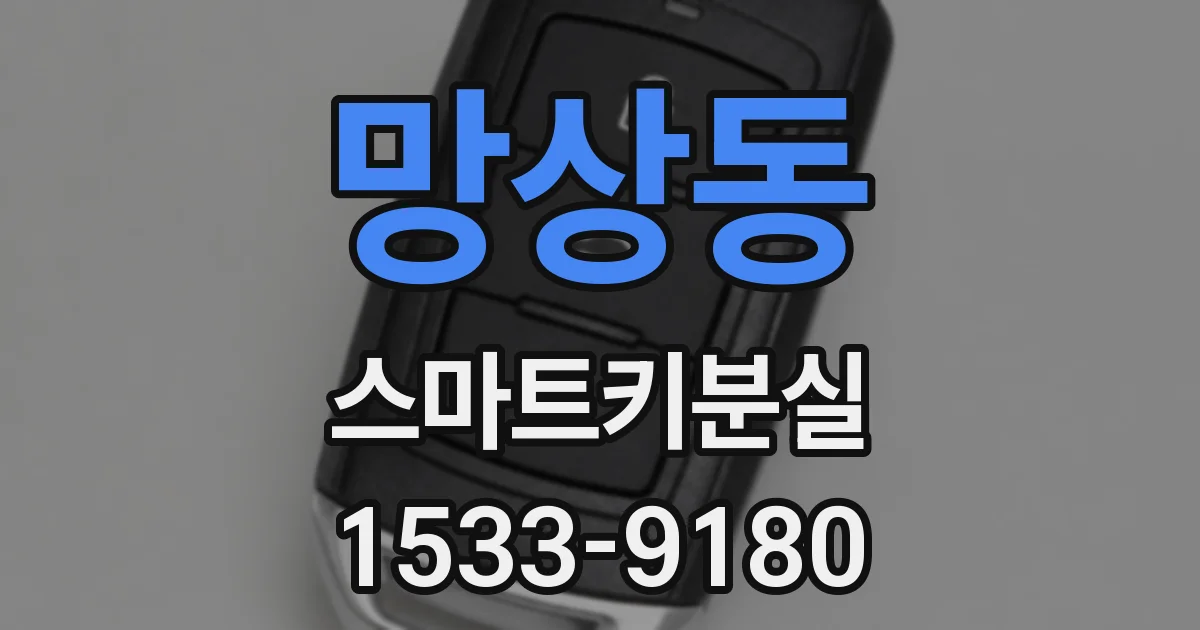망상동 스마트키분실