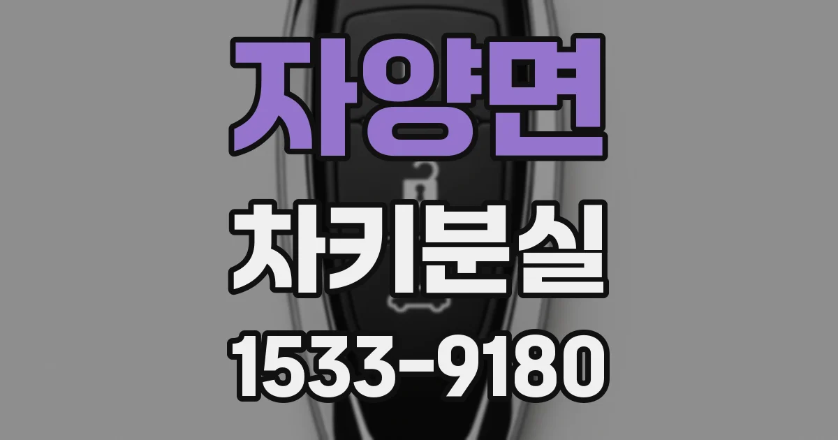 자양면 차키분실
