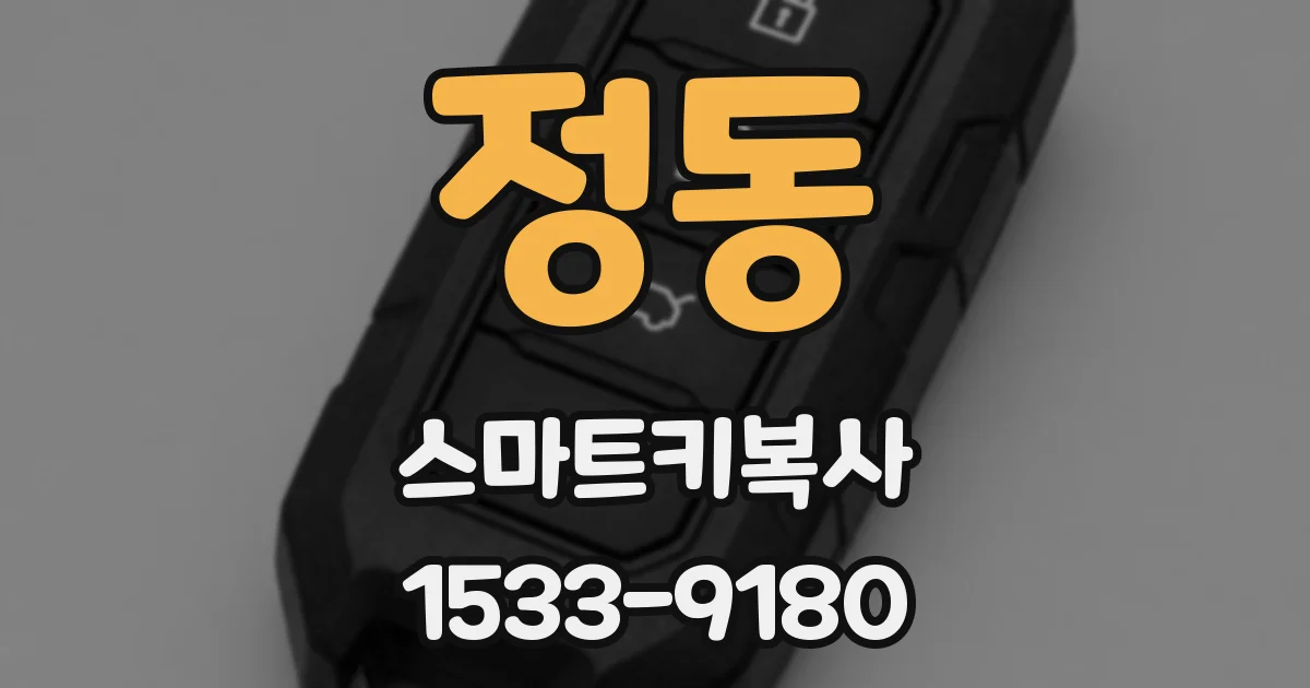 정동 스마트키복사