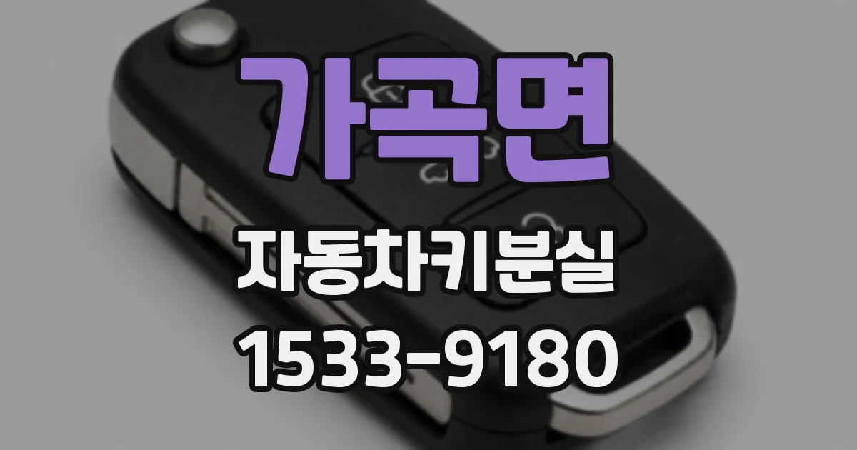 가곡면 자동차키분실