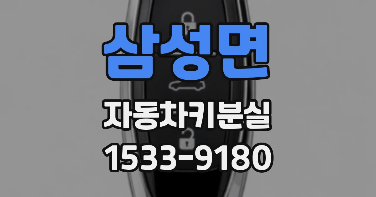 삼성면 자동차키분실