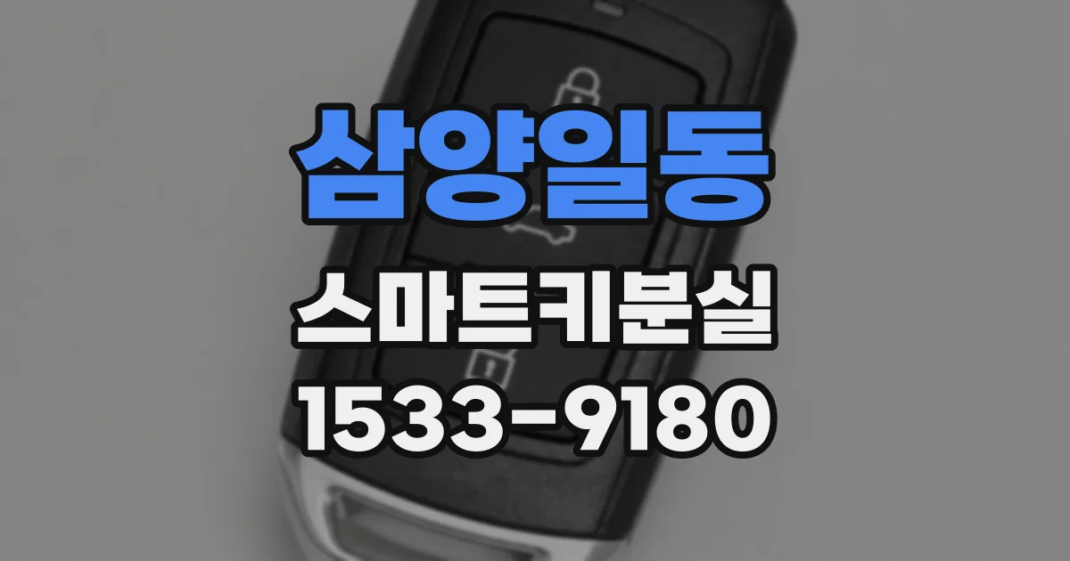 삼양일동 스마트키분실