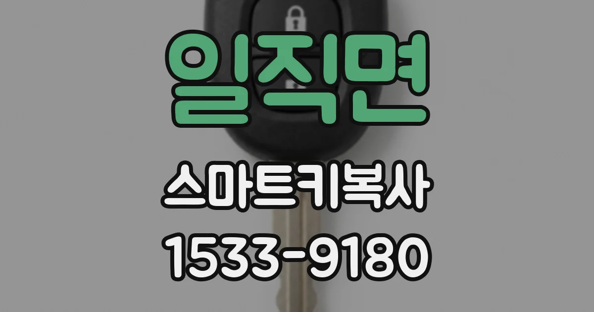 일직면 스마트키복사