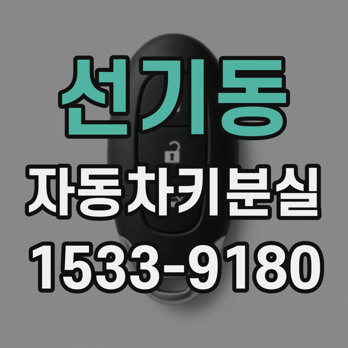 선기동 자동차키분실