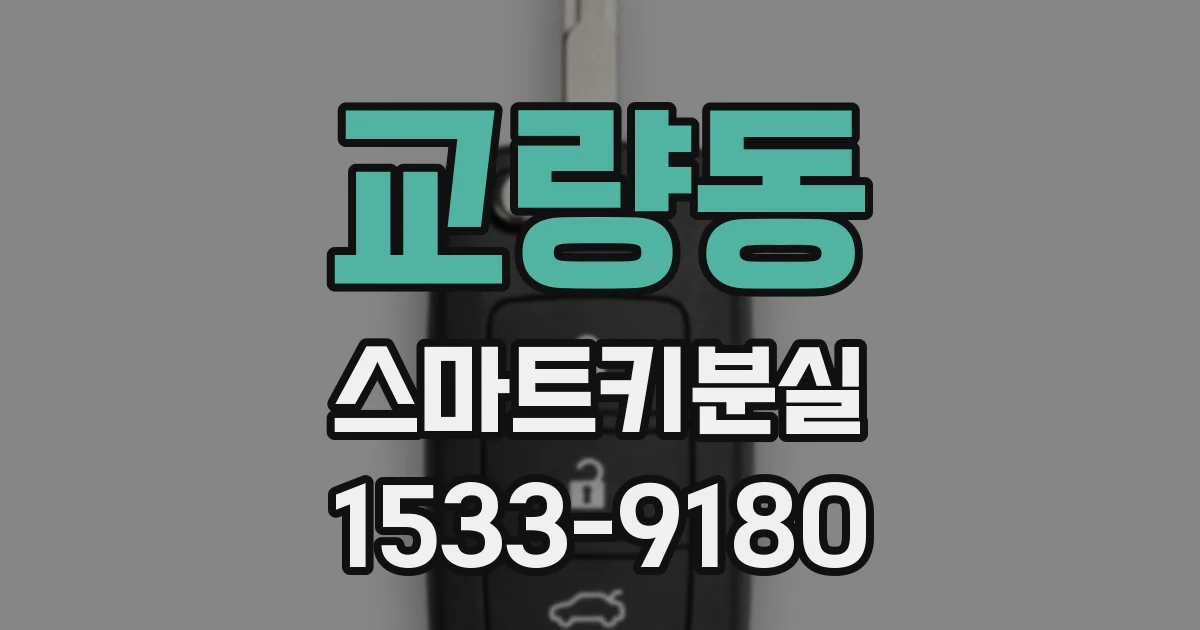 교량동 스마트키분실