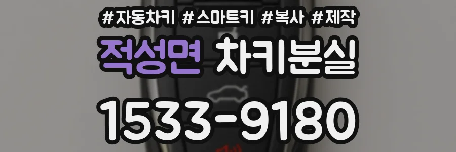 적성면 차키분실