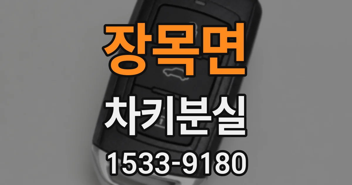 장목면 차키분실