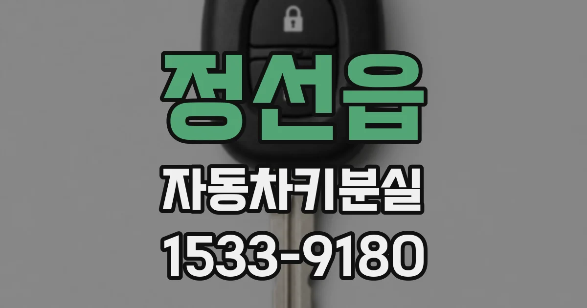 정선읍 자동차키분실