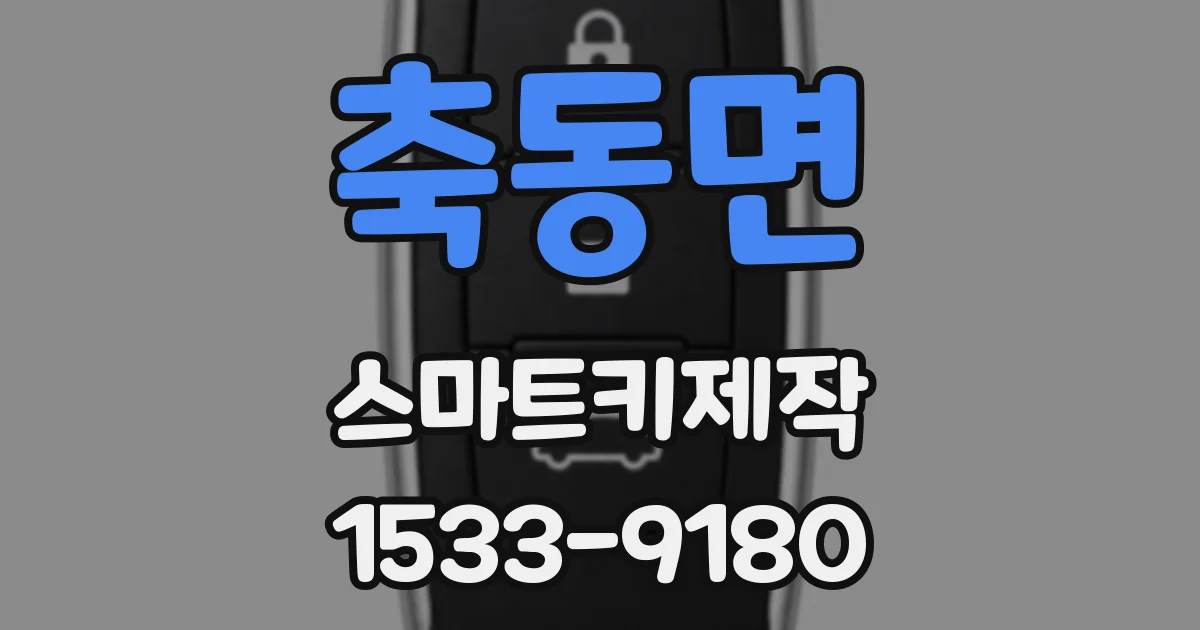 축동면 스마트키제작