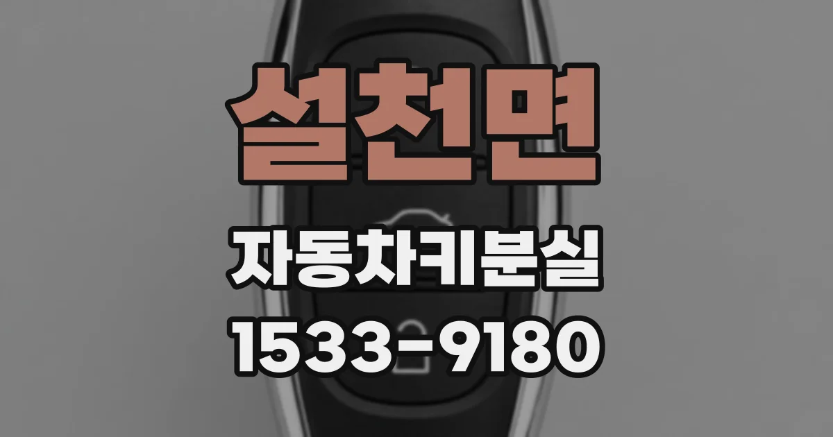 설천면 자동차키분실