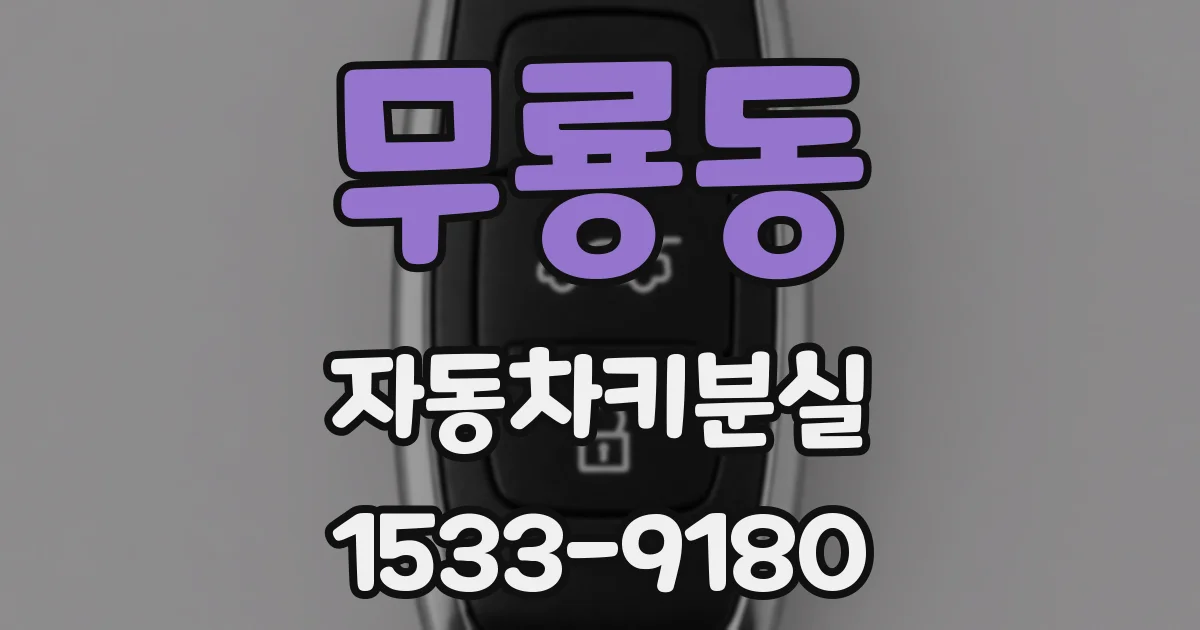 무룡동 자동차키분실