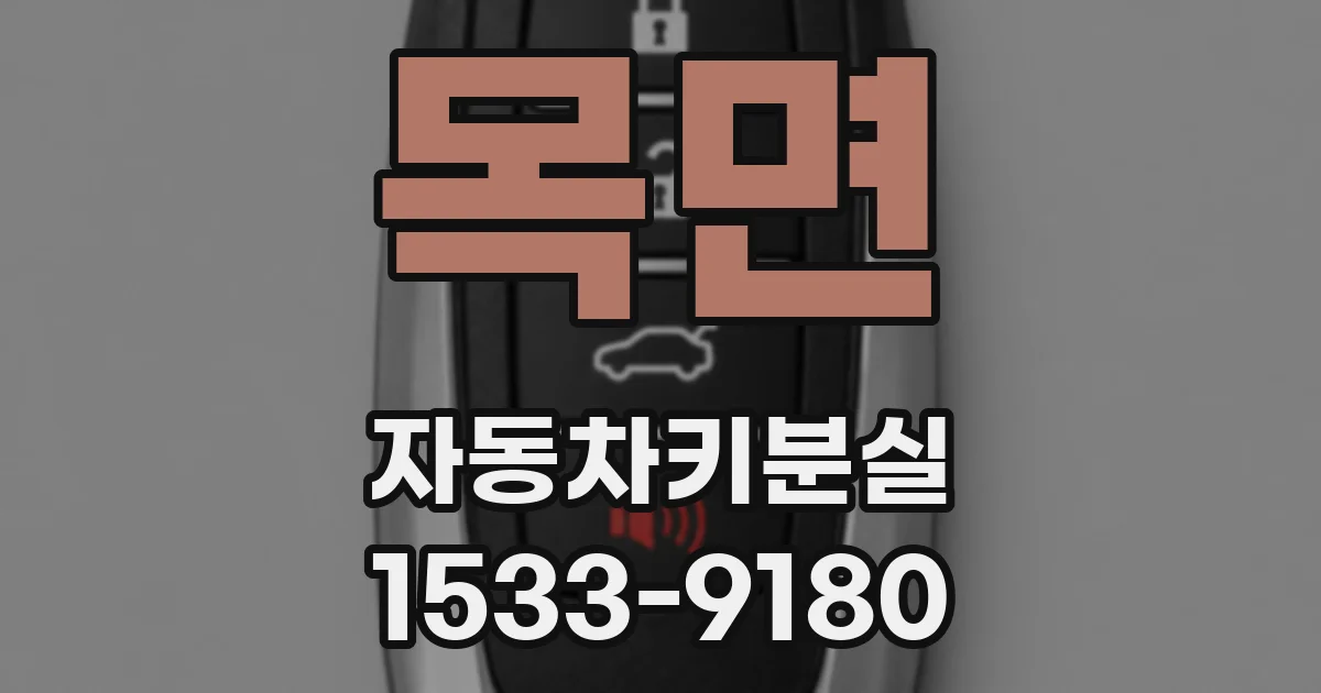 목면 자동차키분실