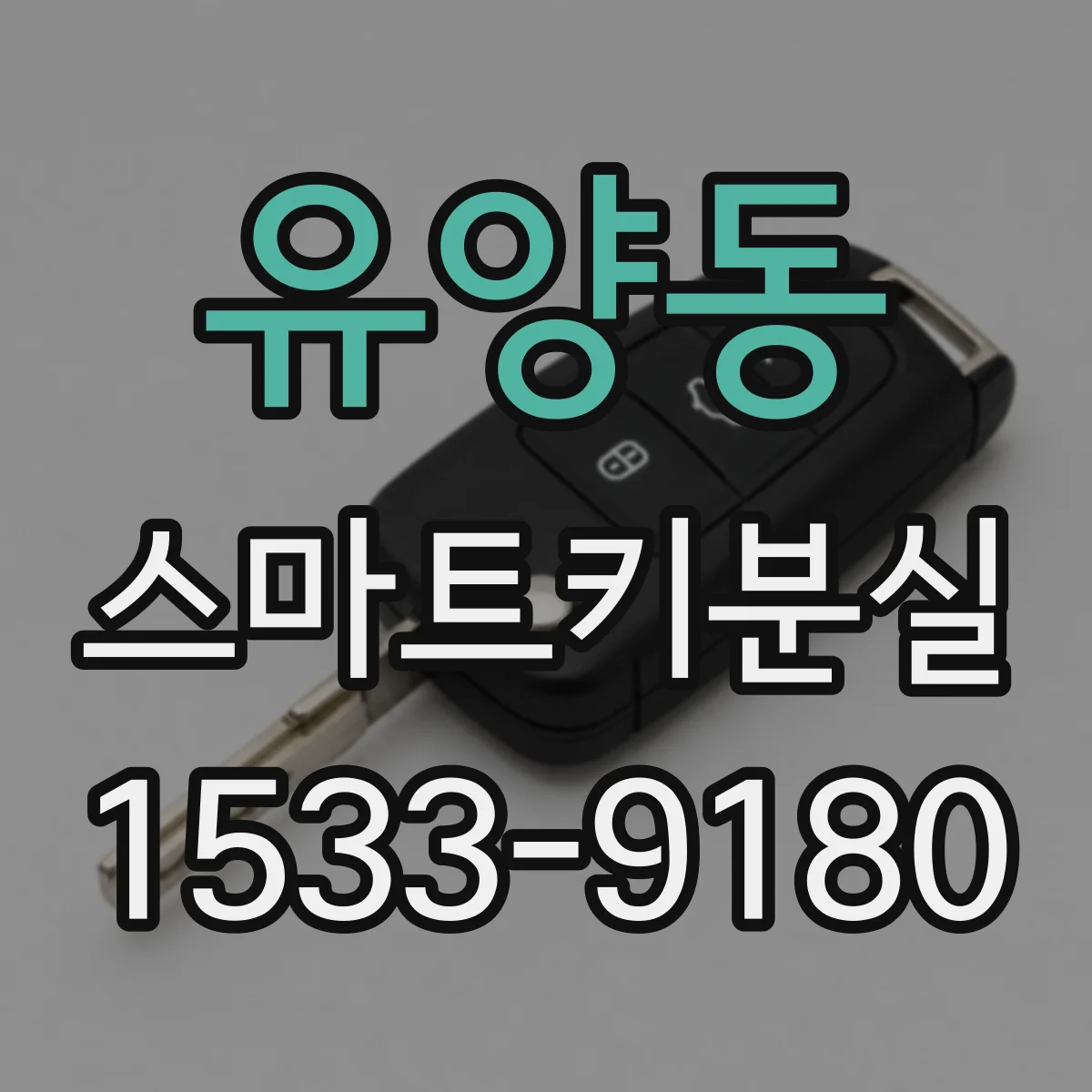 유양동 스마트키분실