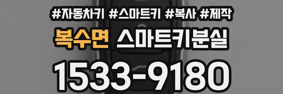 복수면 스마트키분실