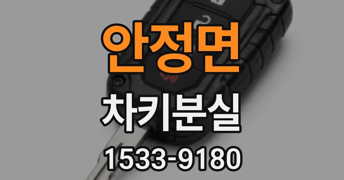안정면 차키분실