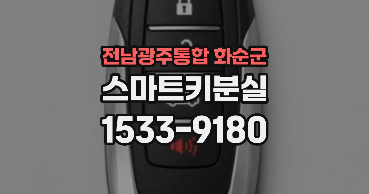 전남광주통합 화순군 스마트키분실