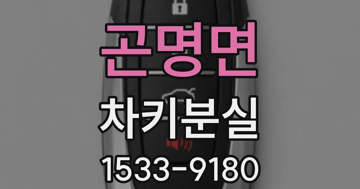 곤명면 차키분실