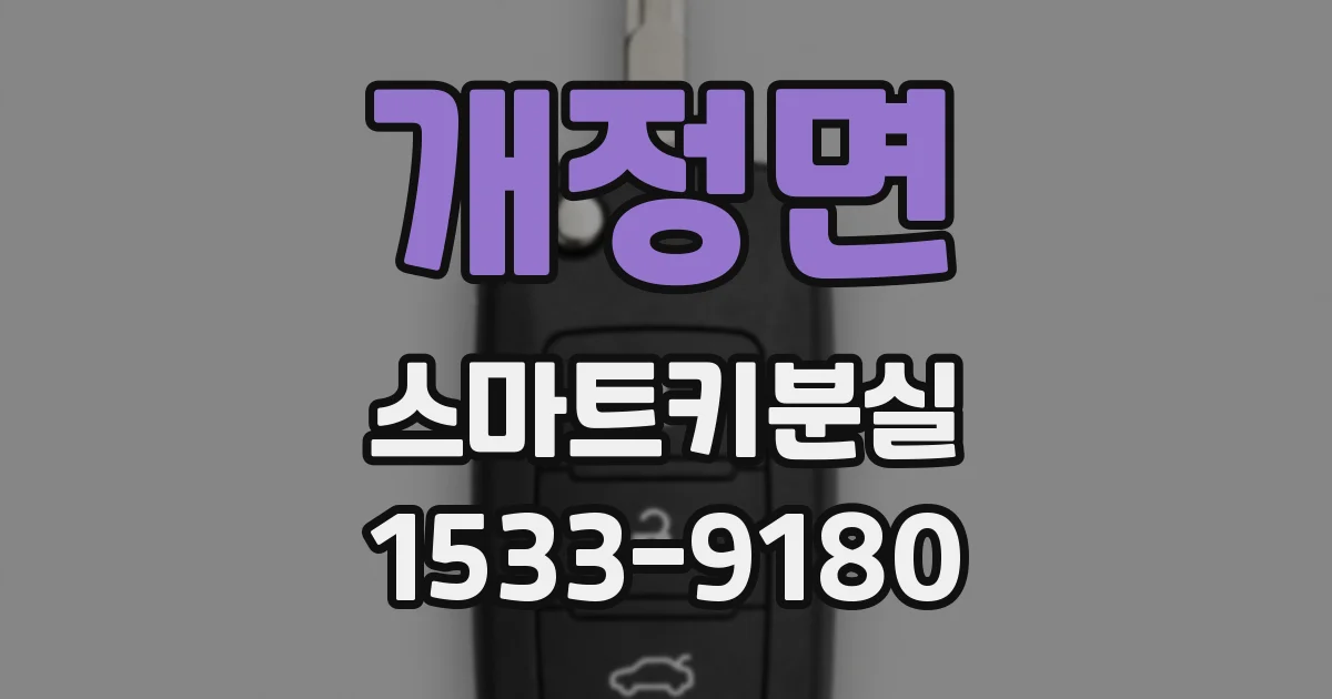 개정면 스마트키분실