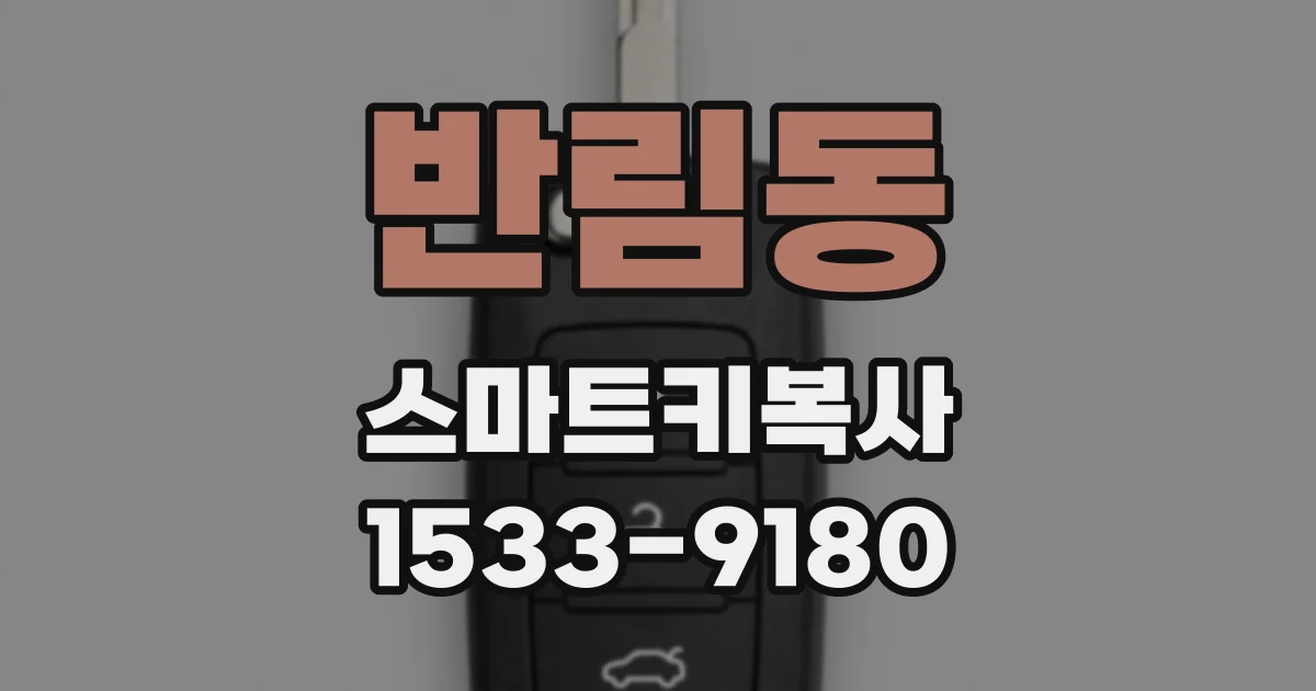 반림동 스마트키복사