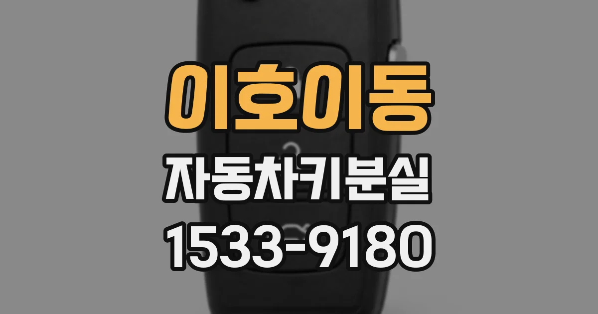 이호이동 자동차키분실
