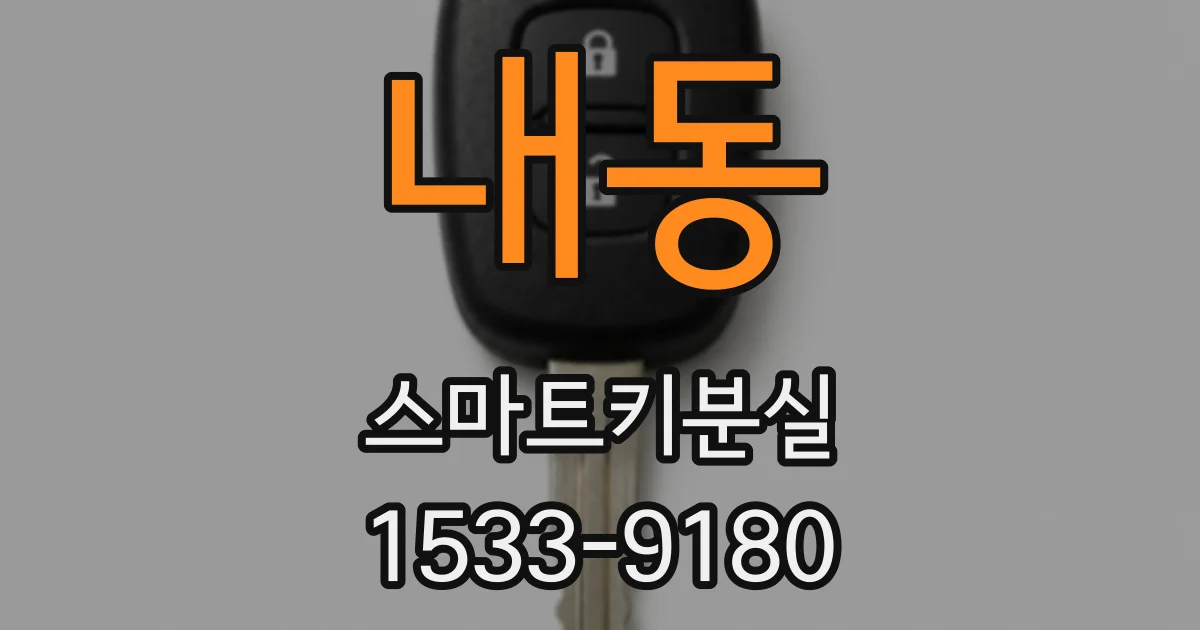 내동 스마트키분실