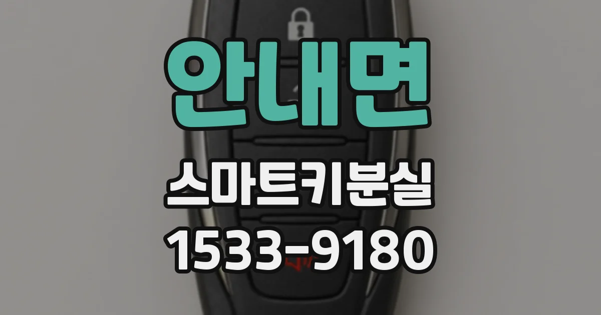 안내면 스마트키분실