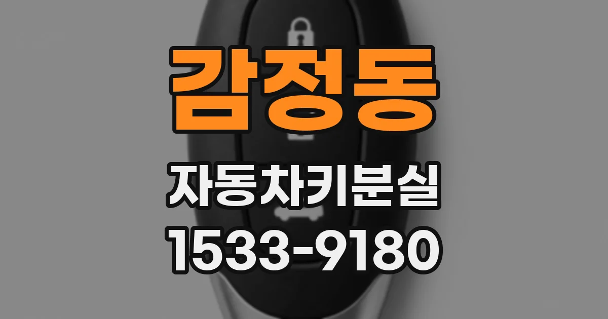 감정동 자동차키분실