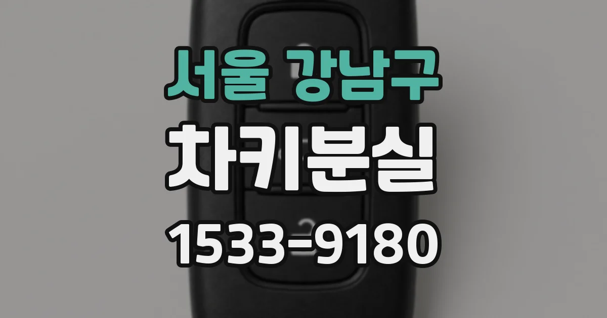 서울 강남구 차키분실