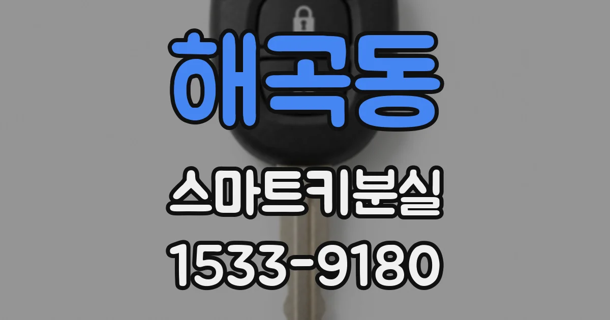 해곡동 스마트키분실